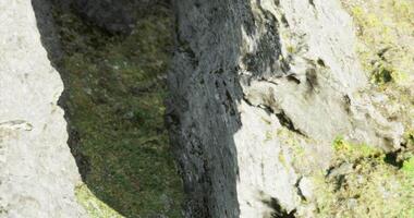 CGI Rocky fissure revealing natures intricate patterns in the wilderness video