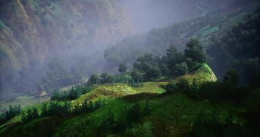 CGI Majestic green hills and misty mountains expressing natures beauty at dawn video