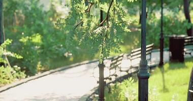 CGI Park pathway with benches and lampposts under sunlight in a tranquil setting video