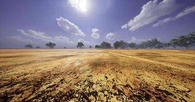 CGI Dry landscape under a clear sky with scattered trees and bright sunlight video