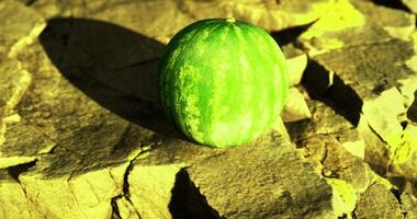 CGI Bright green watermelon resting on rocky surface under sunlight video