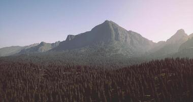 CGI Majestic mountain overlooks dense forest at sunrise in tranquil wilderness video