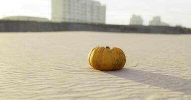 CGI Yellow pumpkin resting on sandy surface near urban buildings during sunset video
