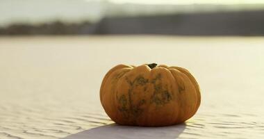 CGI Pumpkin placed on a marble surface in soft afternoon light video
