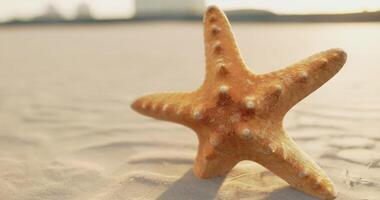 CGI Starfish resting on the sandy shore near the gentle ocean waves video