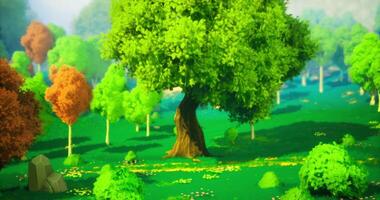 CGI Lush green landscape with diverse trees and vibrant colors in serene park video