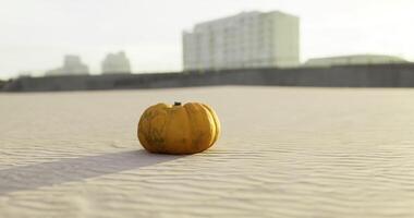 CGI Yellow pumpkin resting on sandy surface with urban backdrop in the evening video