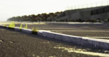 CGI Urban landscape showing overgrown pavement in a deserted area during sunset video