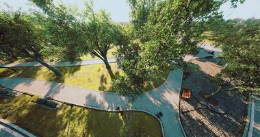 CGI Bright sunlight filters through lush green trees in a tranquil park video