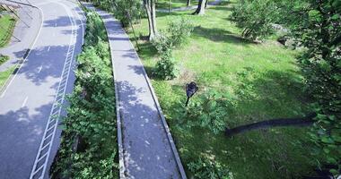 CGI Vibrant park setting showing pathways and benches in a green landscape video