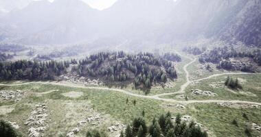 CGI Lush green landscape with winding paths and mountains in the background video