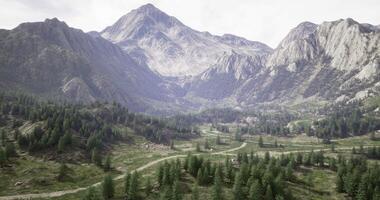 CGI Stunning mountain landscape features green forest and winding path video