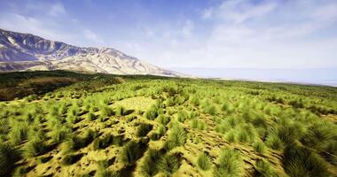 CGI Scenic view of lush greenery and mountains under a clear blue sky video