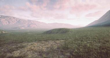 CGI Vast landscape with mountains and grass at dawn under soft cloudy sky video