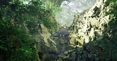 CGI Lush greenery and rocky terrain create a tranquil natural setting with mist video