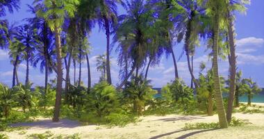 CGI Palm trees sway gently under a clear sky at a tropical beach setting video