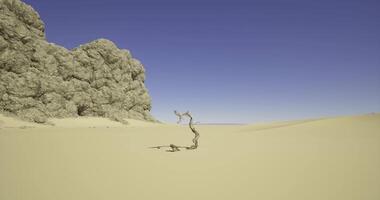 CGI Dry desert landscape with twisted tree near rocky formation under clear sky video