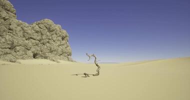 CGI Barren desert landscape with twisted tree and rocky formations under clear sky video