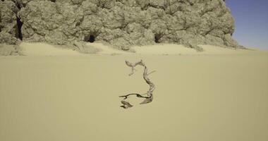 CGI Dry landscape with twisted tree branch near textured rock formation video