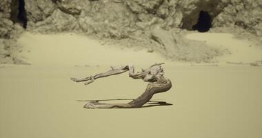 CGI Unique driftwood sculpture on sandy beach under natural light at midday video