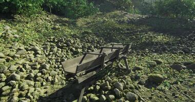 CGI Wooden cart on rocky terrain surrounded by lush greenery in tranquil setting video