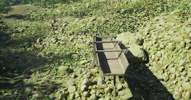 CGI Wooden cart on rocky terrain surrounded by greenery in daylight video
