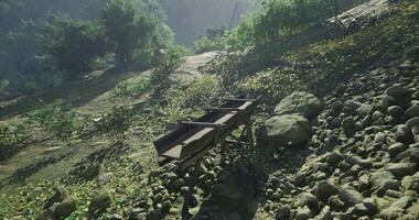 CGI Abandoned cart on a rocky path in a tranquil forest setting video