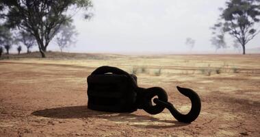 CGI Rusty hook resting on dry earth near sparse trees during bright daylight video
