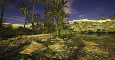 CGI Rugged desert oasis with palm trees and clear water under a twilight sky video