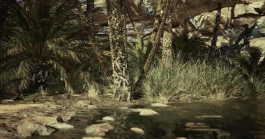 CGI Palm trees and lush vegetation near a serene water body in a natural setting video