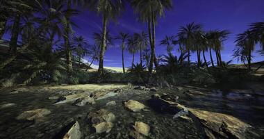 CGI Lush oasis with palm trees and tranquil waters under a twilight sky video
