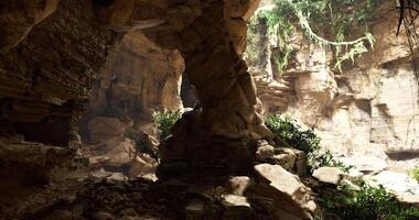 CGI Exploring the stunning rock formations and lush vegetation in an ancient cave video