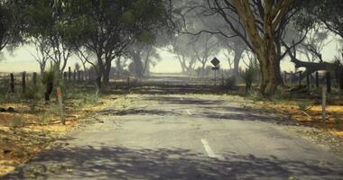CGI Serene dirt road surrounded by lush trees in a quiet rural area video