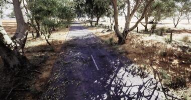 CGI Abandoned pathway surrounded by trees in a rural setting during daytime video