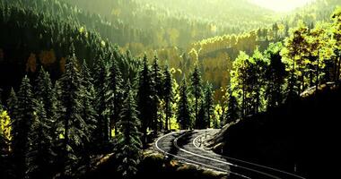 CGI Winding road through vibrant forest during golden hour sunlight video