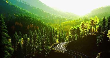 CGI Rolling hills and winding road through vibrant autumn forest landscape video