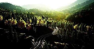 CGI Stunning view of winding railway through vibrant forest during golden hour video