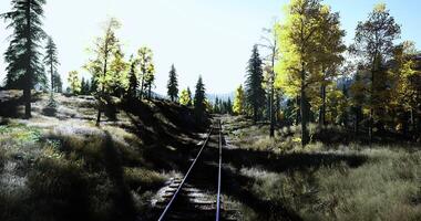 CGI Scenic railway tracks surrounded by lush forest in golden autumn light video
