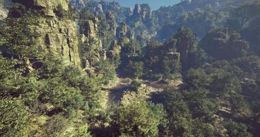 CGI Lush green valley surrounded by towering rock formations in bright daylight video