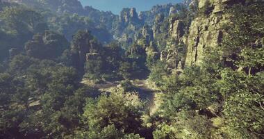 CGI Explore a lush green valley surrounded by towering rock formations video