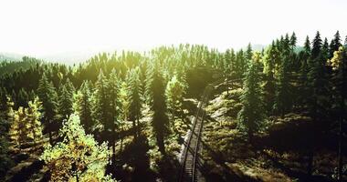 CGI Scenic view of a railway winding through a lush forest landscape at sunrise video