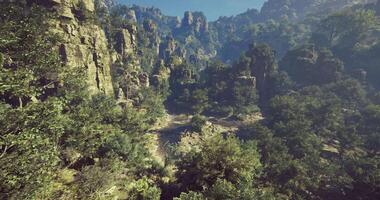 CGI Lush green valley nestled among towering rocky cliffs in bright daylight video