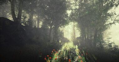 CGI Light filtering through trees over a flower lined pathway in a forest video