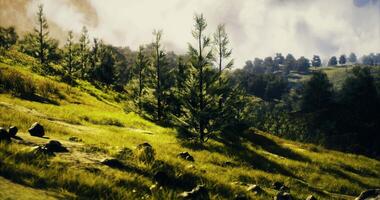CGI Vibrant green landscape with trees and rocky terrain under a cloudy sky video