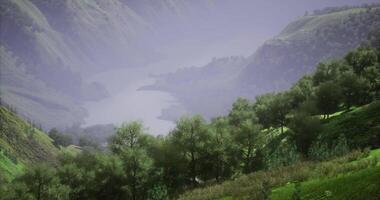 CGI Stunning river valley landscape with lush greenery and foggy hills video