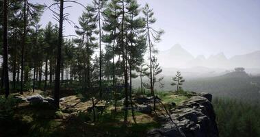 CGI Natural landscape showing tall trees and mountain view during daylight video