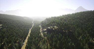 CGI Scenic view of a forested valley with mountain backdrop at dawn video