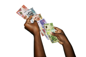 Black african hands holding various Ghanaian cedi notes overlapping each other in a line over transparent background. closeup of Hands holding Ghana paper currencies png