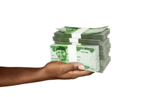Hand Holding 3D rendering of stacks of 500 Nigerian Naira notes isolated on transparent background png