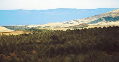 CGI Diverse landscape featuring grasslands and mountains under a clear sky video